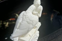 IMG_3328-scaled