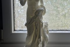 IMG_3682-scaled