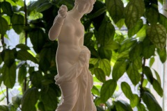 IMG_3826