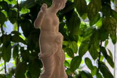 IMG_3826