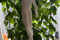 IMG_4109