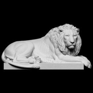 Lying Lion