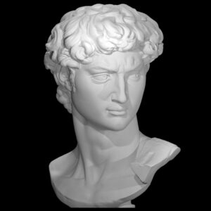 Head of Michelangelo's David