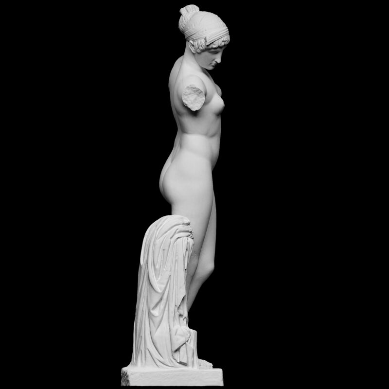 Esquiline Venus - Afbeelding 2