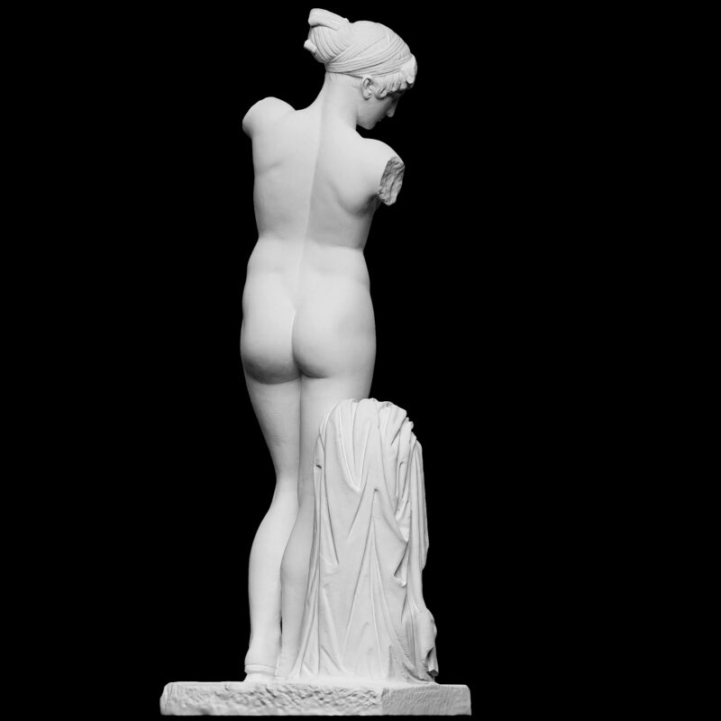 Esquiline Venus - Afbeelding 3