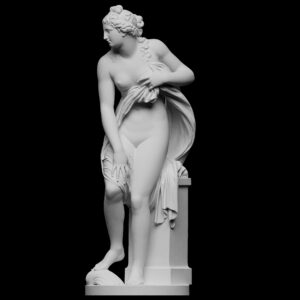 Venus Rising from the Waves