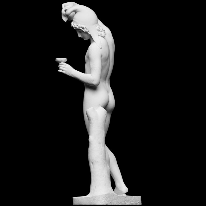 Ganymede Filling the Cup - Afbeelding 3