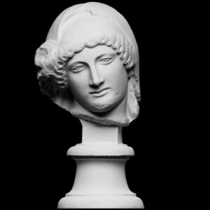 Head of the Mourning Penelope