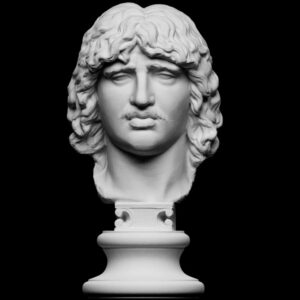 Head of a Barbarian Chief