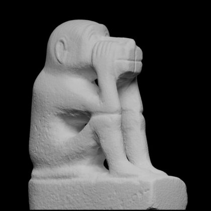 Squatting monkey