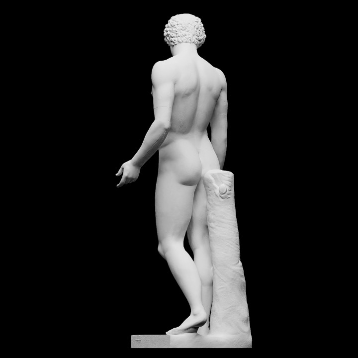 The Capitoline Antinous - Afbeelding 3
