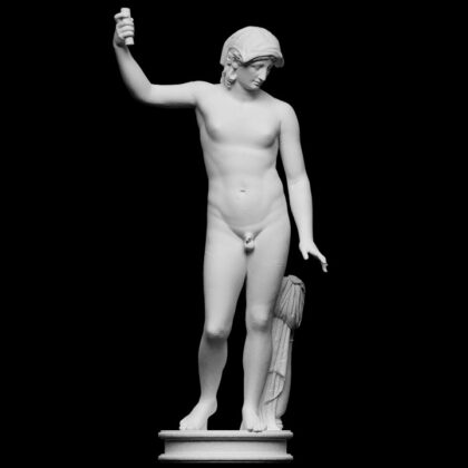Hermaphrodite