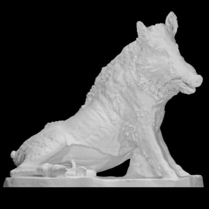 The Wild Boar
