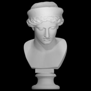 Head from The Barberini Hera