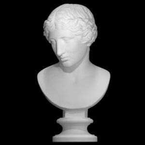 Head from a statue of an Amazon