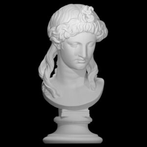 Head of a Woman or Apollo