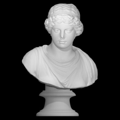 Head Venus