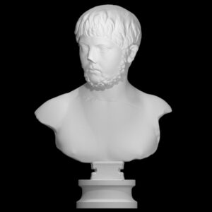 Bust of a Young Man