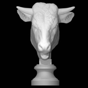 Head of a Bull