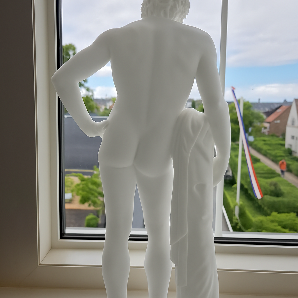 Afbeelding #1 van Tômô