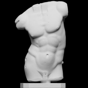 Torso