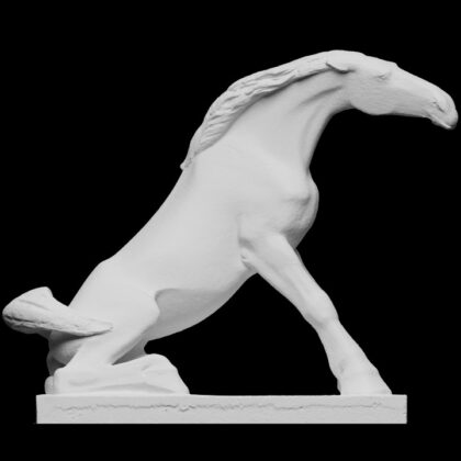 Horse getting up
