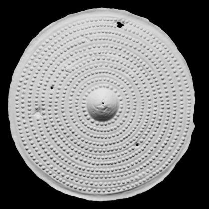 Bronze Age Shield