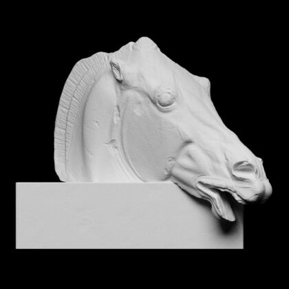 Head of the Horse of Selene
