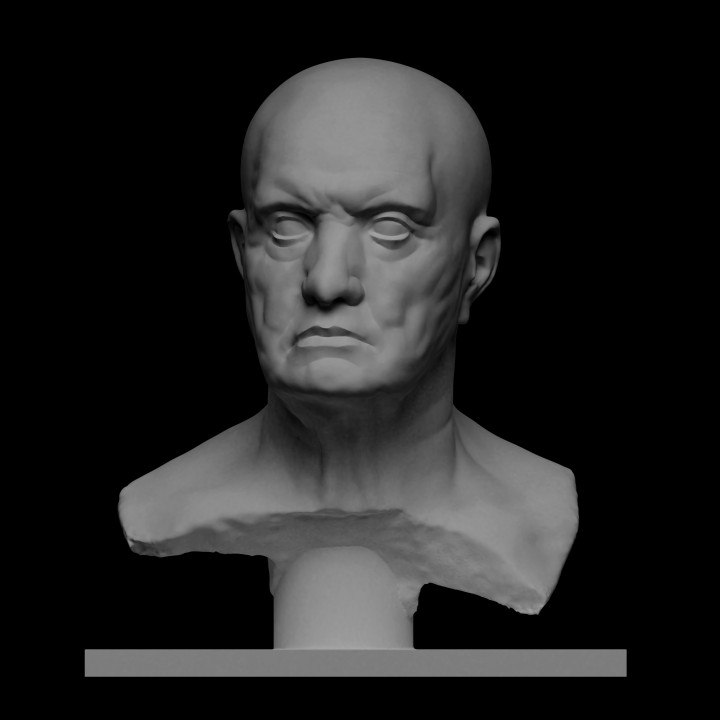 Bust of a man