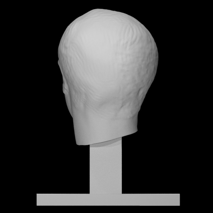 Philip the Younger - Afbeelding 3