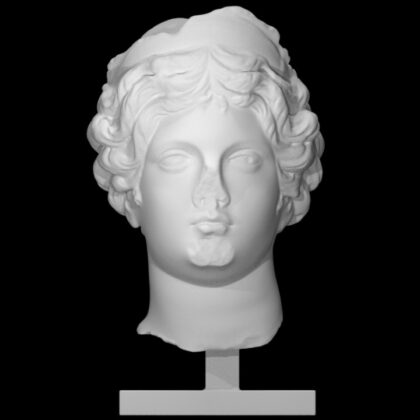 Head of Venus