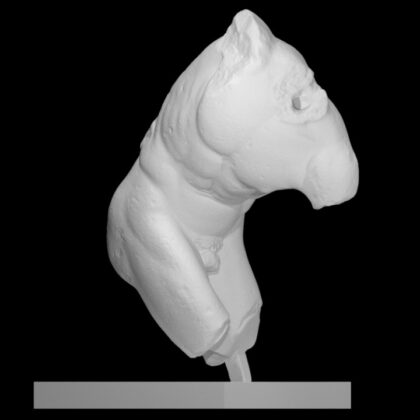 Discobolus