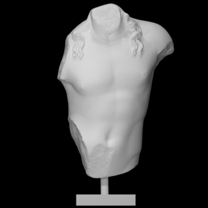 Adolescent torso