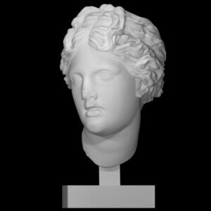 Head of one of Laocoon's sons