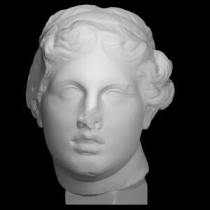 Portrait, 'The Beautiful Head'