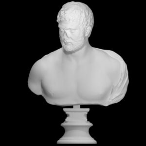 Unknown Bust