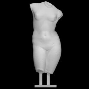Venus Torso